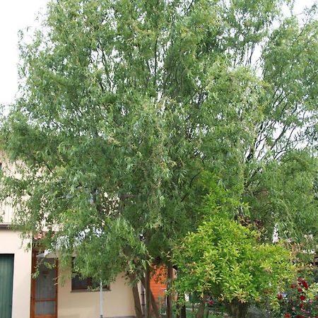 I Salici Di Laura Bed and Breakfast Porto Fuori Εξωτερικό φωτογραφία